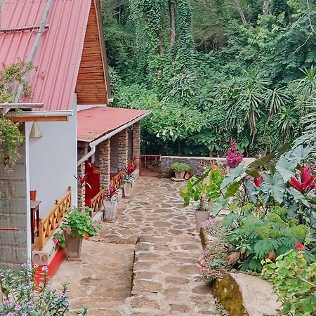 Mrefu Eco-Lodge Marangu Exterior photo