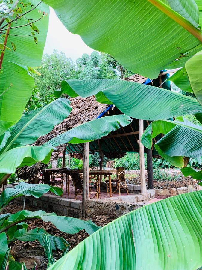 Mrefu Eco-Lodge Marangu Exterior photo