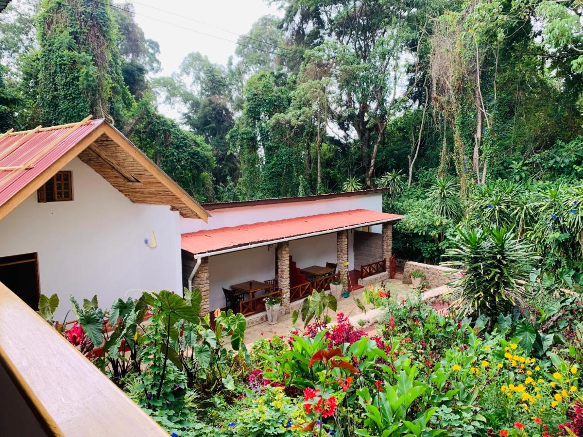 Mrefu Eco-Lodge Marangu Exterior photo